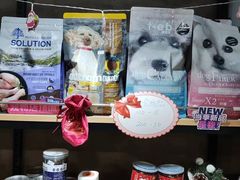 -PETKIT小佩宠物(昭化店)