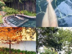 -和顺柏联温泉