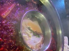-渝宗老灶火锅(巴国城店)