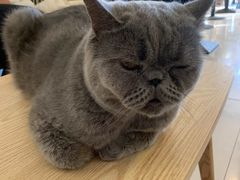 -平行世界·猫咖(首经贸店)