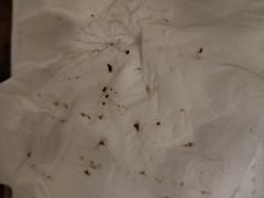 -采耳匠采耳文化体验馆(东门店)