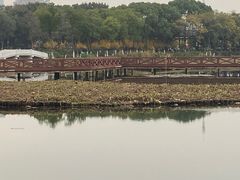 -金银湖国家城市湿地公园
