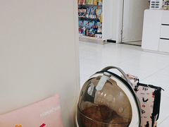 -美联众合动物医院·24h京西诊疗中心