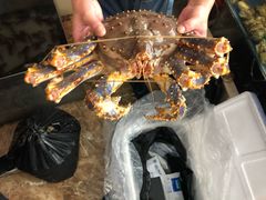 -江杨农产品批发市场