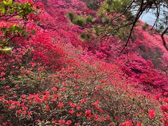 -木兰云雾山
