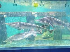 -重庆欢乐海底世界