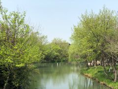 -西溪国家湿地公园