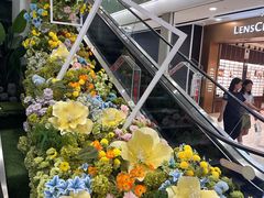 -凯德MALL(望京店)