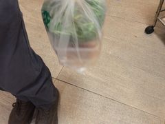 -正能量脆肉鲩火锅