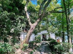 -严子陵钓台(富春江小三峡)