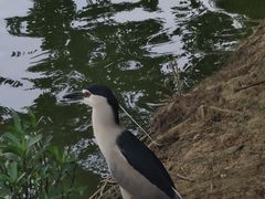 -海珠湖公园