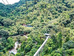 -南丹山森林王国
