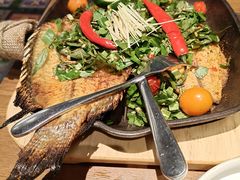 香茅草烤罗非鱼-云海肴·汽锅鸡·云南代表菜(天山百盛优客店)