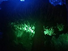 -灵栖洞天