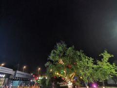 -紫金文化广场-停车场