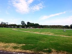 -崇明东平国家森林公园烧烤房车露营地