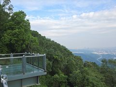 -黄埔油麻山森林公园