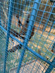 -萌宠亲子动物乐园(槐房万达店)