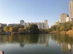 -青城公园