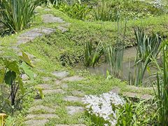 -阿哈湖国家湿地公园
