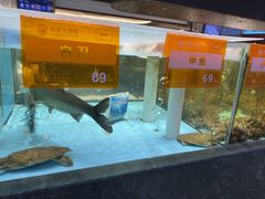 -国惠大酒楼(仓山万达店)