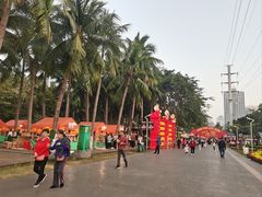 -万绿园