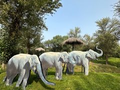 -北京野生动物园