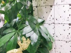-海马体照相馆|大师(北京华贸中心店)
