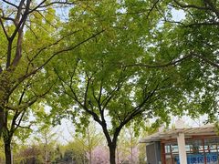 -大兴滨河森林公园