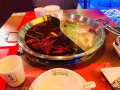 -红牌美蛙鱼头火锅(万辉国际广场店)