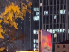 -乐天拉面(桃花街店)