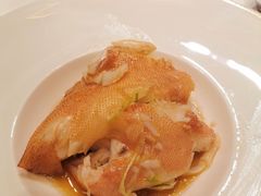 东星斑清蒸-金轩中餐厅 Jin Xuan(浦东丽思卡尔顿酒店)