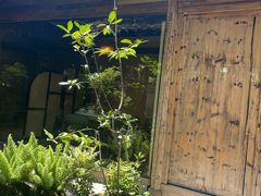 -院子餐厅·大锅菜·老杭帮(桥西直街店)