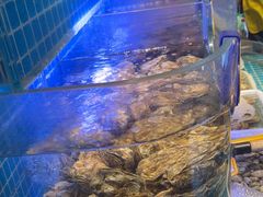 -街角等你.大连海鲜烧烤.经典铁板海鲜串(西安路店)