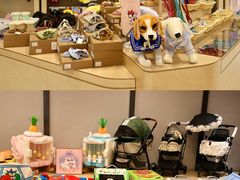 -帕帕拉兹宠物(亚洲旗舰店)