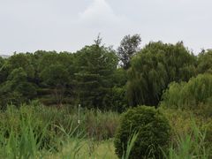 -苏州湾体育公园