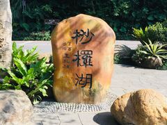 -深圳仙湖植物园-停车场