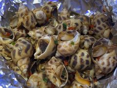 -千岛蚝高压锅生蚝·人参火锅(白云万达店)