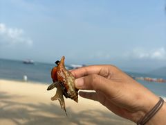 -三亚西岛海洋文化旅游区