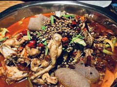 -宽口美蛙鱼头(大唐西市店)