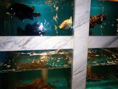 -太平洋PACIFIC SPA•奢睿水疗(万象城店)