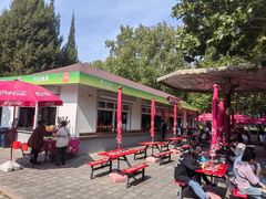 -朝阳公园游乐园