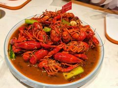 -杨氏青龙虾·羊蝎子(托乐嘉店)