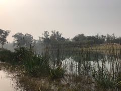 -两河城市森林公园