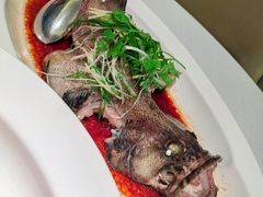 清蒸深海龙趸斑-顺峰(农展馆店)