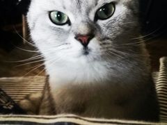 -不舍昼夜咖啡馆