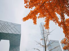 -中央广播电视总台(光华路办公区)