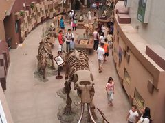 -陕西自然博物馆