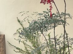-邊渡咖啡