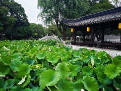 -丝绸小镇荻港古村